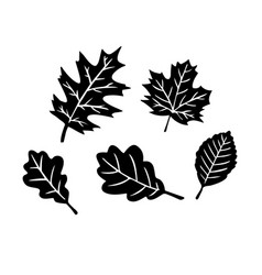 Fall Leaves Silhouettes Image