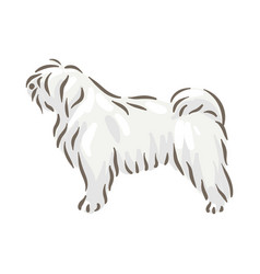 Cute Dog Puli Breed Pedigree