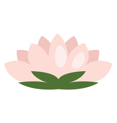 Pink Lotus Flower On A White Background