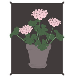 Hand Drawn Geranium Pink Flower