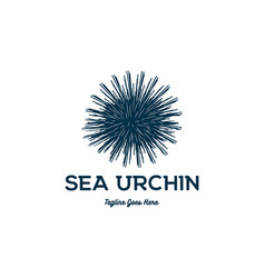 Simple Vintage Ocean Sea Urchin Logo Design Icon