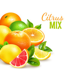 Citrus Fruits Mix Realistic Background Poster