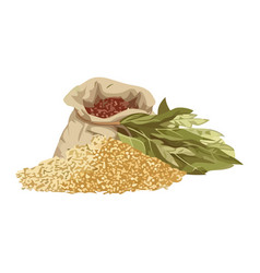 Healthy Organic Beans And Rice Sack