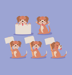 Five Puppies Design