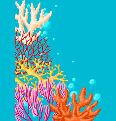 Background With Sea Corals Marine Life Aquarium