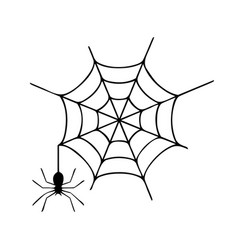 Spider Web Image