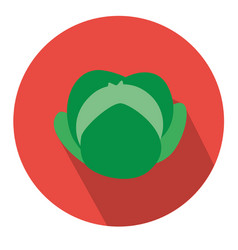 Cabbage Circle Icon