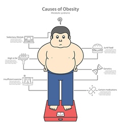 Causes Of Obesity And Fat Man