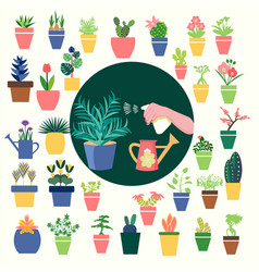 Houseplants Icons And Hand Holding Spray Bottle