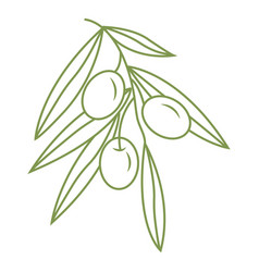 Olive Branch Simple Icon In Doodle Style For Your