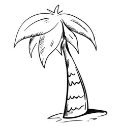 Sketch Drawing Palm Tree Grown Above