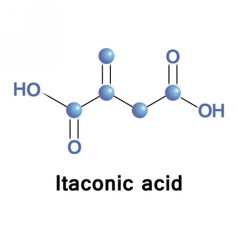 Itaconic Acid Industrial