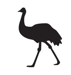 Emu Black Silhouette Isolated On White Background