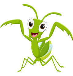 Happy Mantis Cartoon Isolated On White