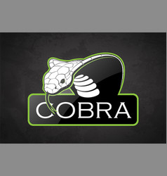 Cobra