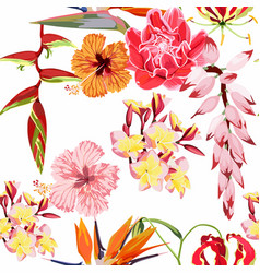 Seamless Pattern Many Kind Of Tropical Flowers