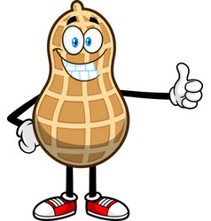 Funny Peanut Cartoon Character