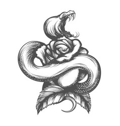 Snake And Rose Flower Tattoo Isolated On White