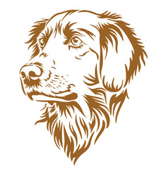 Golden Retriever Dog Face Printable Stencil