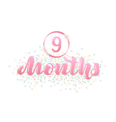 Baby Age Marker - 9 Months