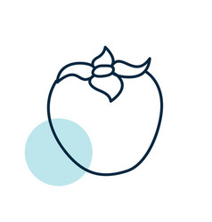 Persimmon Kaki Or Sharon Fruit Icon Graph