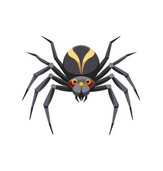 Spider Animal Flat On White Background