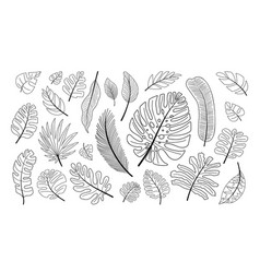 Tropical Leaves Line Doodle Set