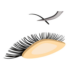 Eyelash Extension Procedure For Extension