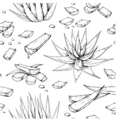 Aloe Vera Pattern Hand Drawn Seamless Print