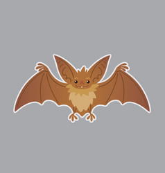 Bat Animal Of Bat-eared Brown