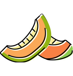 Seed Melon Slice Cantaloupe Color Icon