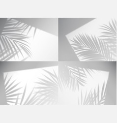 Palm Leaves Shadow Overlay Window Frames