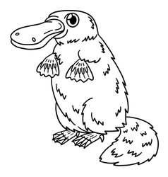 Platypus Isolated Coloring Page For Kids