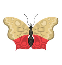 Red And Beige Butterfly