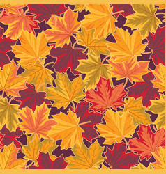 Maple Leaf-autumn 02