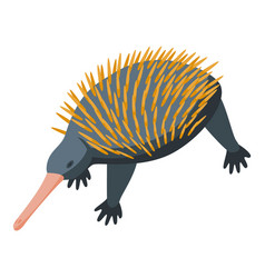 Wildlife Echidna Icon Isometric Nature