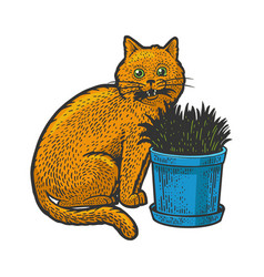 Cat Eats Grass Sketch