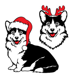 Christmas Welsh Corgi Cardigan Dog With Santa Hat