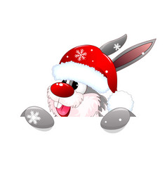 Joyful Rabbit In Santa Hat Close-up