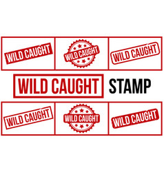 Wild Caught Rubber Grunge Stamp Set