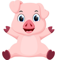 Cute Baby Pig Cartoon Isolated On White Background