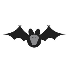 Flying Fox Bat