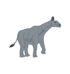 Indricotherium Paraceratherium Hornless Rhinoceros