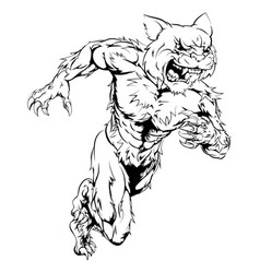 Wildcat Sports Mascot Running