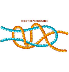 Sheet Bend Doubleisolated On White Modification