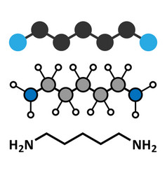 Cadaverine Foul Smelling Molecule