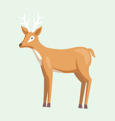 Cute Deer With Antlers