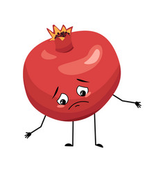 Pomegranate Character With Sad Emotions