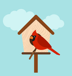 Cardinal Sitting In Front Of Bird House