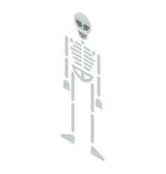 Skeleton Icon Isometric Style